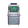 Adventure Game Combo Arcade Machine - Cyberlead 29 inch (excellent) - Front View