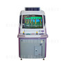 Adventure Game Combo Arcade Machine - Cyberlead 29 inch (excellent)