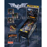 Batman Pinball (2008) - Brochure