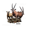 Big Buck HD Wild: Gemsbok - Big Buck HD Wild: Gemsbok logo