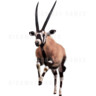 Big Buck HD Wild: Gemsbok - The Gemsbok character