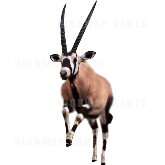 Big Buck HD Wild: Gemsbok - The Gemsbok character