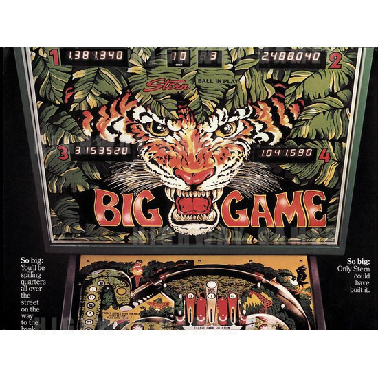 Big Game - Brochure3 153KB JPG