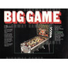 Big Game - Brochure4 111KB JPG