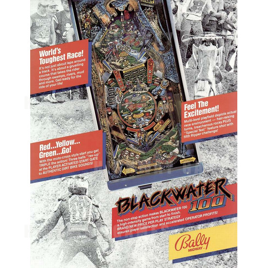 Blackwater 100 Pinball Machine - Brochure2 199KB JPG