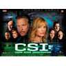 CSI: Crime Scene Investigation Pinball (2008) - Backglass