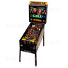 CSI: Crime Scene Investigation Pinball (2008)