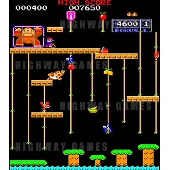 Donkey Kong Jr - screen shot 2 31kb JPG