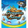 Dragon King 8 Player Arcade Machine - Dragon King 8 Player Arcade Machine Logo