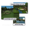 EA Sports PGA Tour Golf Challenge Arcade Machine - Real Courses
