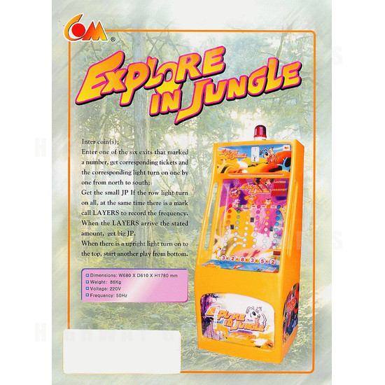 Explore In Jungle - Brochure