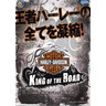 Harley Davidson: King of the Road DX - Brochure Front