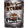 Harley Davidson: King of the Road DX