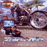 Harley Davidson LA Riders DX Arcade Machine - Brochure