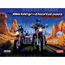 Harley Davidson Third Edition Pinball (2005) - Backglass