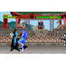 Mortal Kombat - Screen Shot 1 63KB JPG