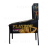 Playboy Pinball (2002)