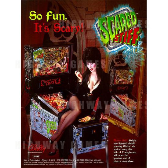 Scared Stiff Pinball (1996) - Brochure Front