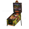 The Lost World Jurassic Park Pinball (1997) - Machine