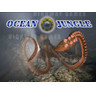 XD Theater - Ocean Jungle