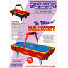 Ultimate Table Hockey (the) - Brochure 1 139KB JPG