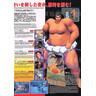 Virtua Fighter 3 - Brochure Inside 02