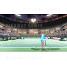 Virtua Tennis 3 DX (US Make)