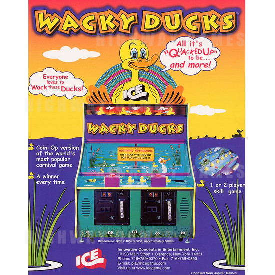 Wacky Ducks - Brochure