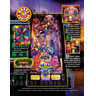 Wheel of Fortune Pinball (2007) - Brochure Back