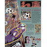World Cup Soccer Pinball (1994) - Brochure Inside 01