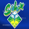 SALEX 2013 - 24th South American Leisure Exhibition